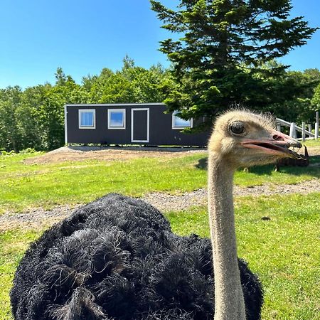 Margo'S Garden Farmstay, Kiroro Akaigawa Экстерьер фото